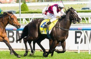 Caulfield Raceday | Just Horse Racing It Is Written winning the Spicer Thoroughbreds Testa Rossa Stakes at Caulfield - photo by Race Horse Photos Australia