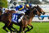 It's A Dundeal winning the Hyland Race Colours Underwood Stakes at Caulfield - photo by Race Horse Photos Australia