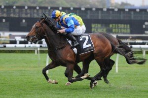 It | Just Horse Racing's A Dundeel 061012 9878