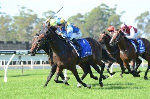 It | Just Horse Racing's A Dundeel 160313 8408