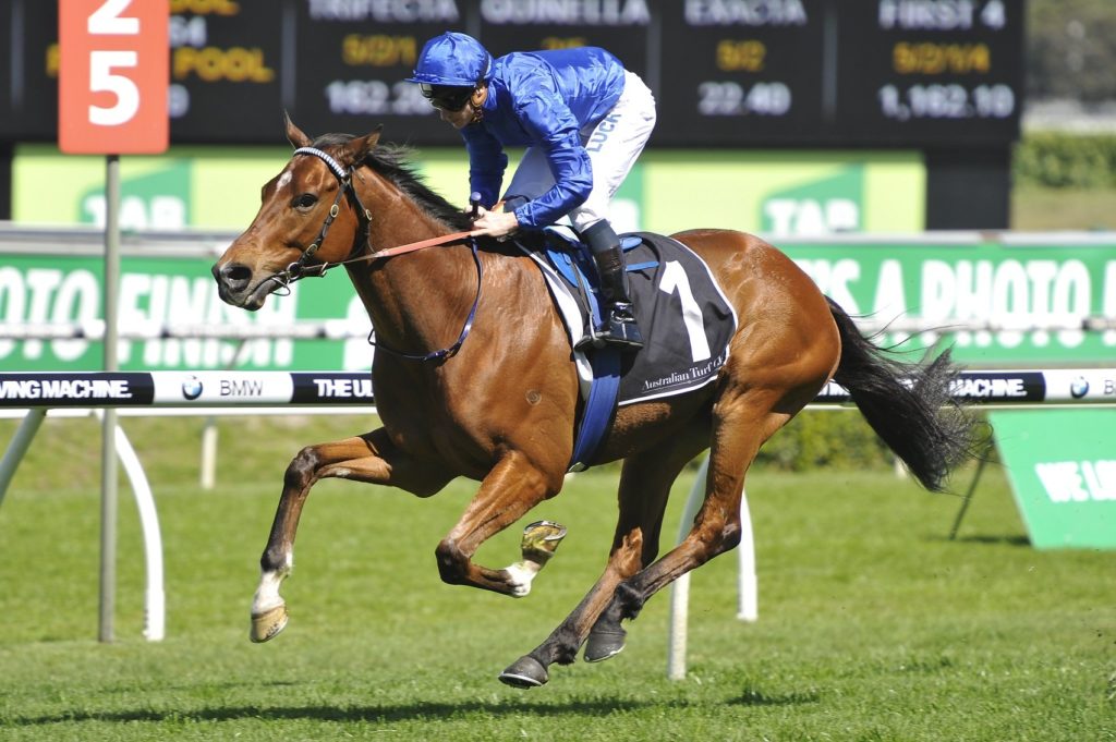 It's Somewhat | Just Horse Racing It's Somewhat