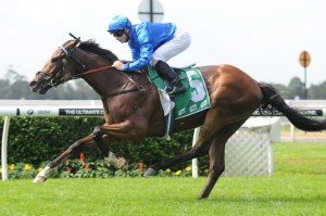 It's Somewhat | Just Horse Racing It's Somewhat