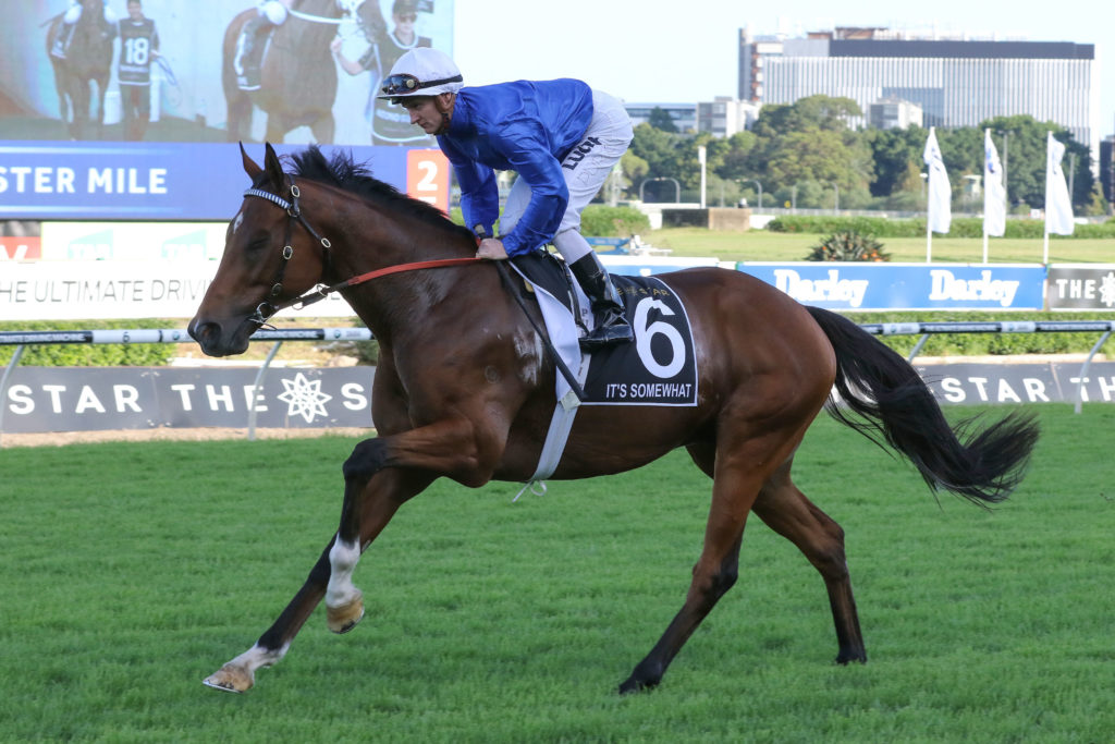 It's Somewhat,Doncaster Mile,Group 1_01-04-2017_WIN_Randwick_9__1732 | Just Horse Racing