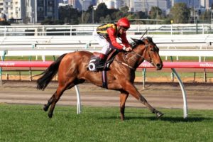 Jalan Jalan | Just Horse Racing Jalan Jalan