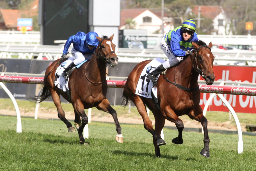 jamekacaulfield-cupgroup-1_15-10-2016_win_caulfield_8__1506 | Just Horse Racing