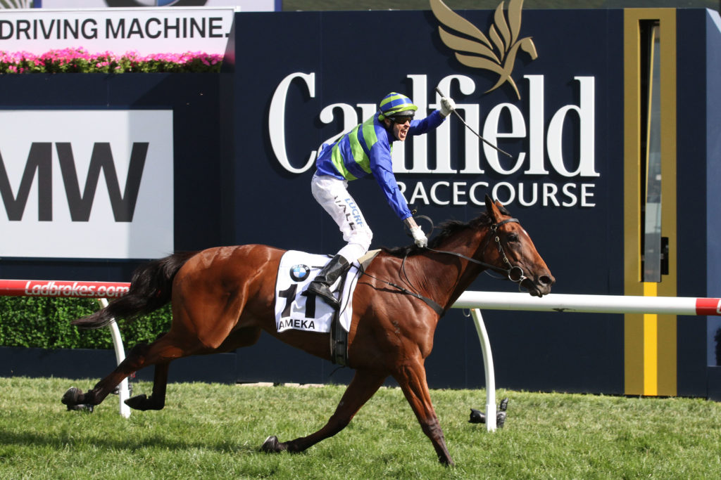 jamekacaulfield-cupgroup-1_15-10-2016_win_caulfield_8__1521 | Just Horse Racing