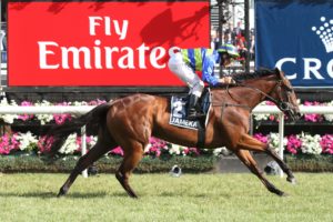 Jameka | Just Horse Racing Jameka