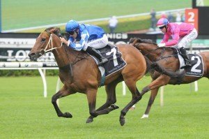 Jeanneau | Just Horse Racing Jeanneau