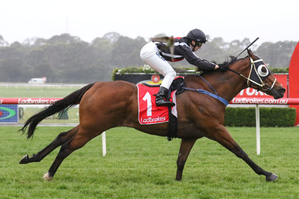 Jungle Edge_02-12-2017_WIN_Sandwon_7__1358 | Just Horse Racing