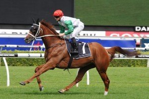 Junoob 150314 3590 | Just Horse Racing Junoob - Photo by Steve Hart