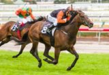 Kaiser Sun winning the Flemington 1840-2014 Handicap at Flemington ridden by Chris Symons and trained by Matthew Ellerton & Simon Zahra - (photo by Steven Dowden/Race Horse Photos Australia)