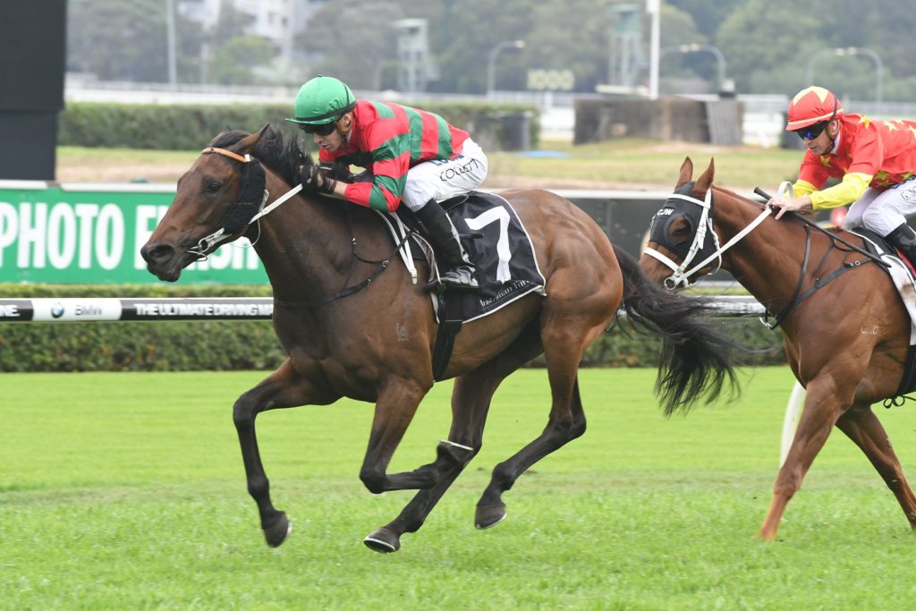 Karavali 281017 6565 | Just Horse Racing