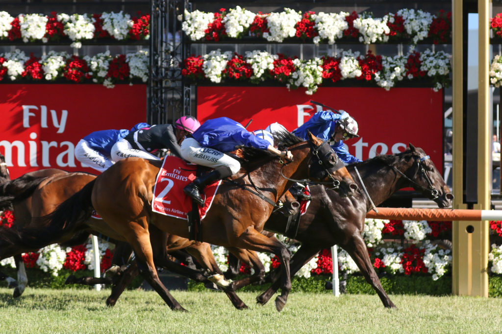 Kentucky Breeze_11-11-2017_WIN_Flemington_9__2446 | Just Horse Racing