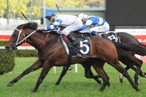 Kermadec - George Main Stakes