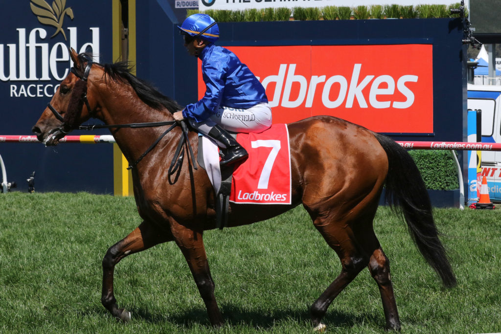 Kidmenever_14-10-2017_GEN_Caulfield__424 | Just Horse Racing