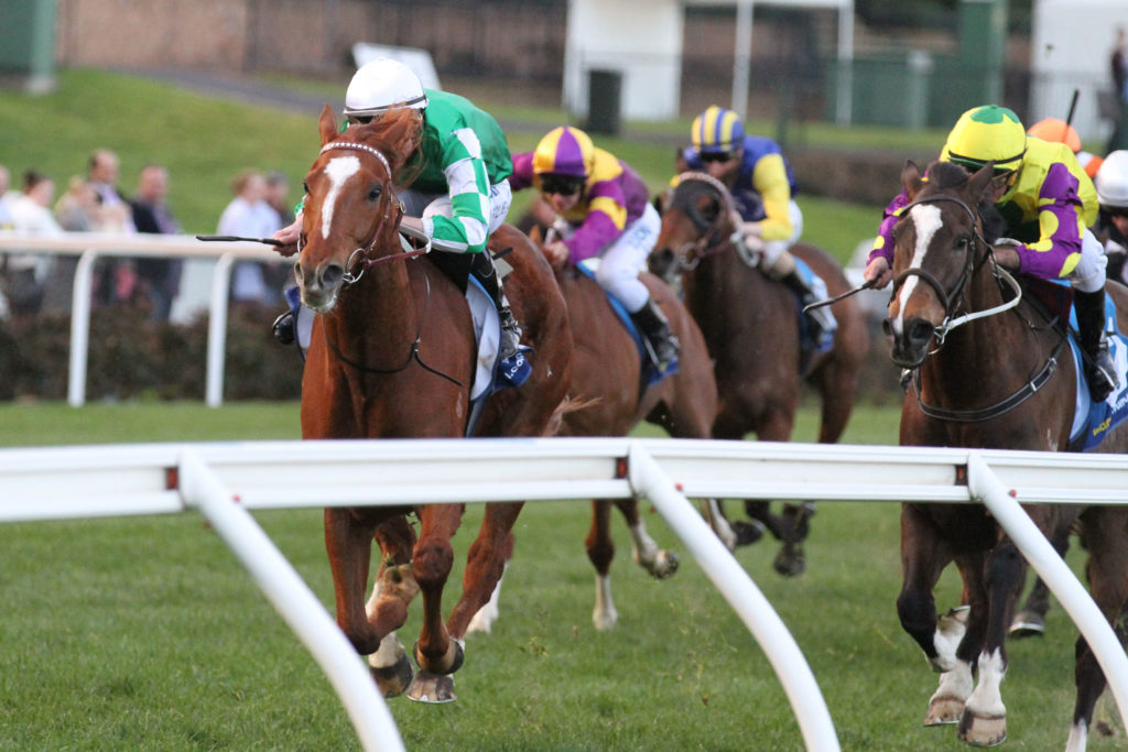 Killarney Kid_03-09-2016_WIN_Moonee Valley_9__1424 | Just Horse Racing