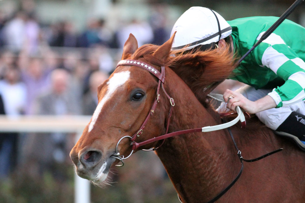 Killarney Kid_03-09-2016_WIN_Moonee Valley_9__1435 | Just Horse Racing