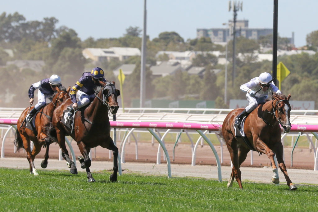 Kings Will Dream_10-03-2018_WIN_Flemington_2__813 | Just Horse Racing