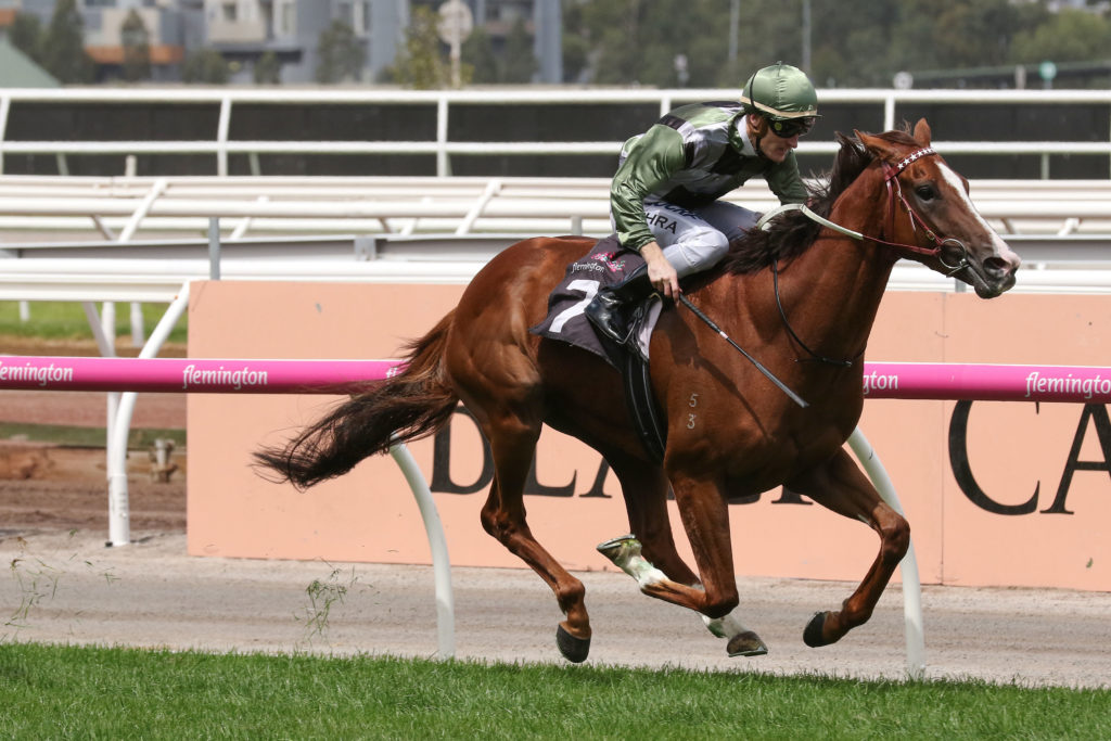 Kings Will Dream_17-02-2018_WIN_Flemington_4__744 | Just Horse Racing