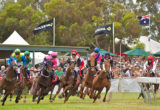 Kingscote Races