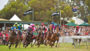 Kingscote Races
