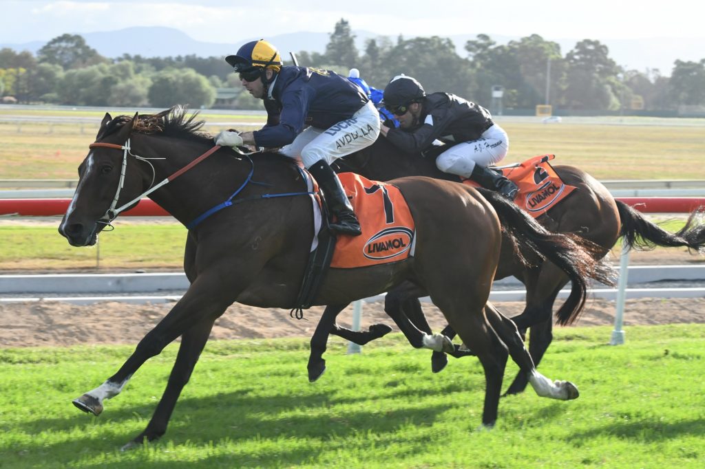Kingsguard 280418 5144 | Just Horse Racing