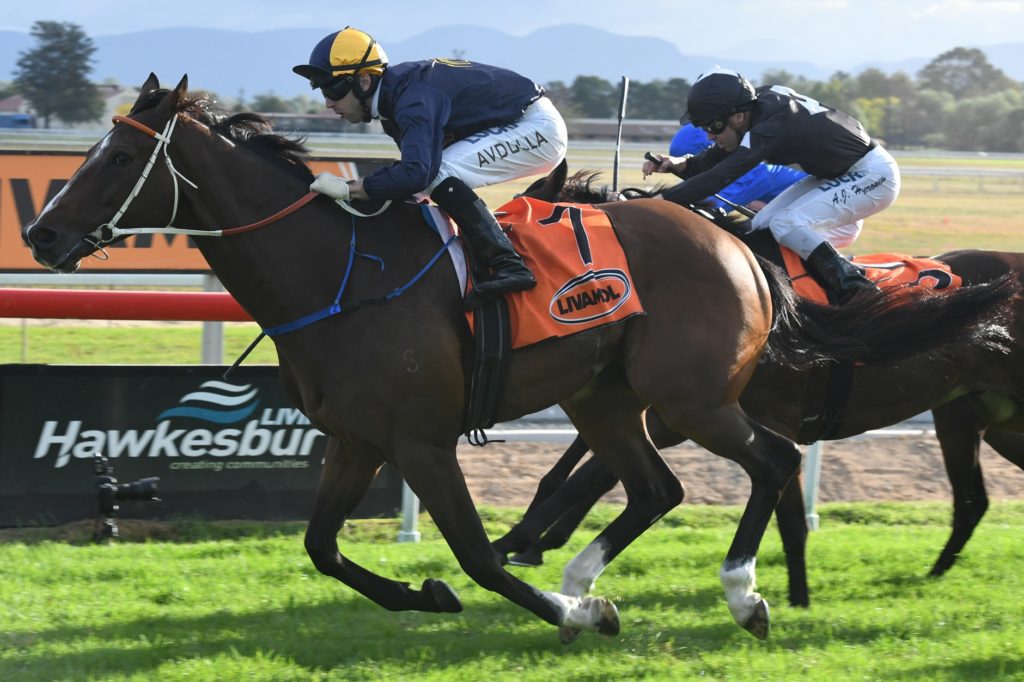 Kingsguard 280418 5146 | Just Horse Racing