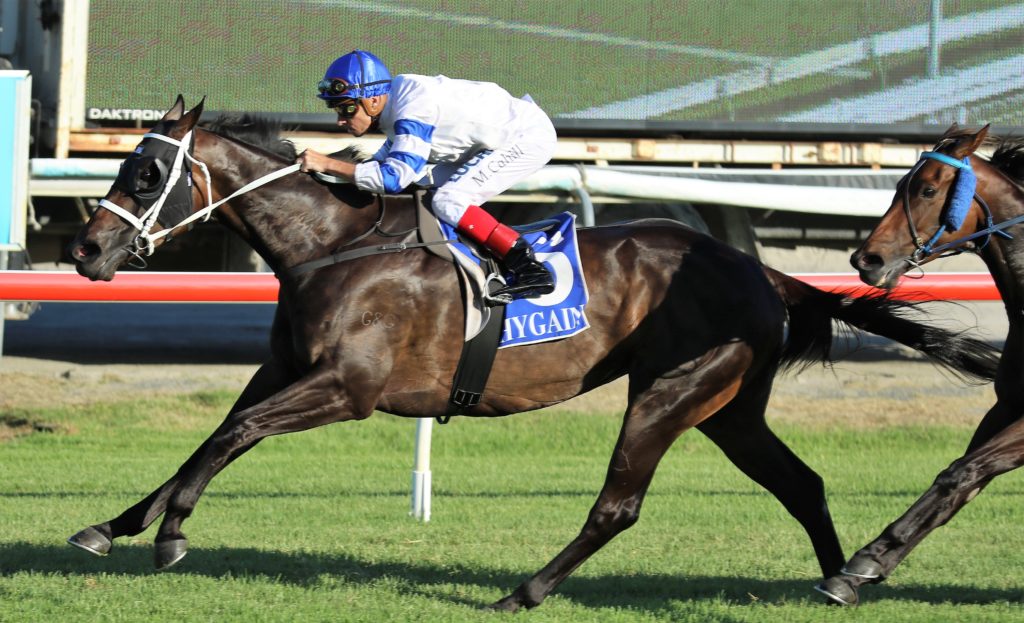 Kirini (4) | Just Horse Racing