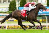 Kuroshio winning the Mitty's McEwen Stakes at Moonee Valley - photo by Race Horse Photos Australia