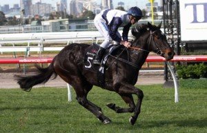 Flemington Raceday | Just Horse Racing