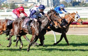 Flemington Raceday | Just Horse Racing