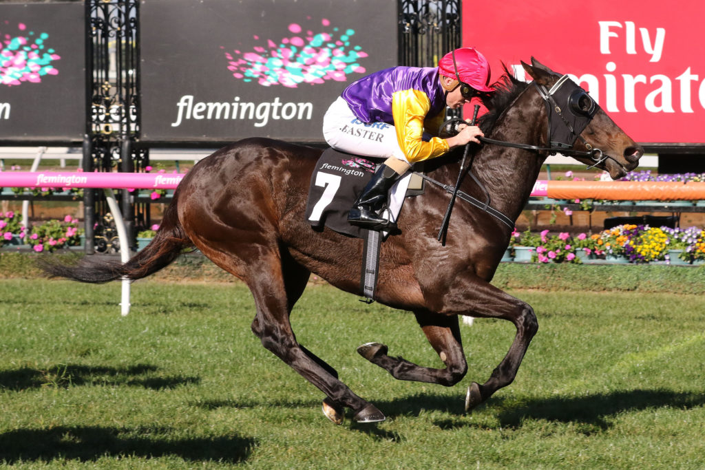 Lake Como_10-06-2017_WIN_Flemington_3__325 | Just Horse Racing