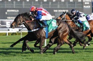 Lamasery 220912 8967 | Just Horse Racing