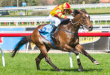 Lankan Rupee - AJ Moir Stakes 2014