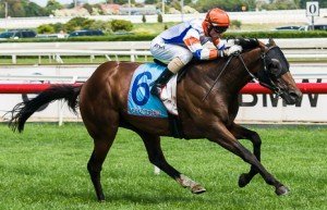 Caulfield Raceday