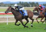 Leebaz has been the best backed runner to win Doomben Cup 2014