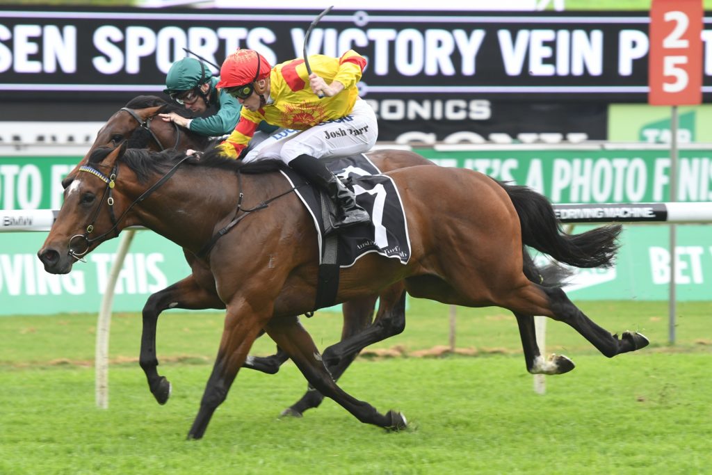 Legend Of Condor 141017 1758 | Just Horse Racing