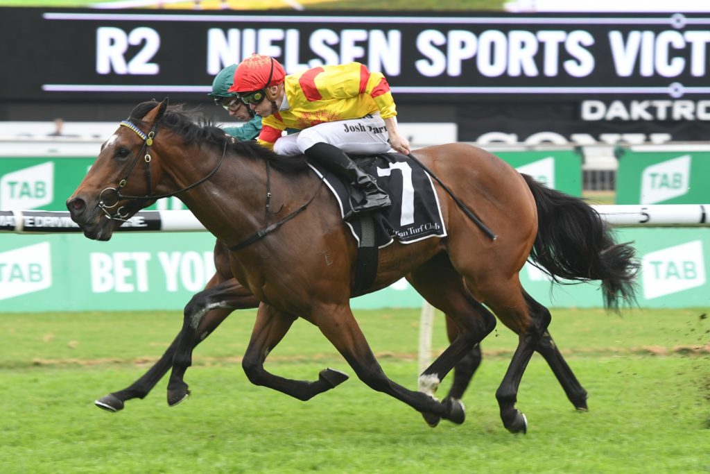 Legend Of Condor 141017 1759 | Just Horse Racing