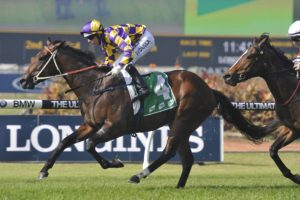 Legerity | Just Horse Racing Legerity