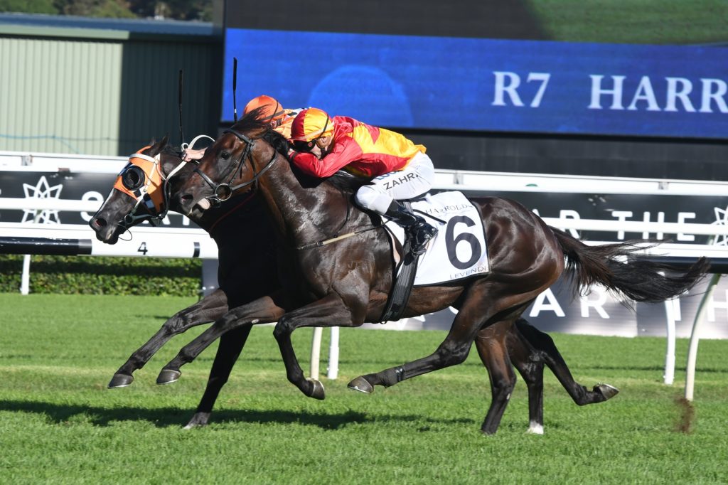 Levendi 070418 8784 | Just Horse Racing