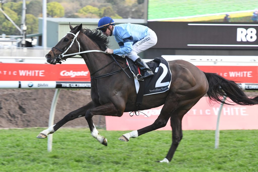 Libran 160917 8665 | Just Horse Racing
