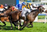 Lidari winning the BMW Handicap at Caulfield - photo by Race Horse Photos Australia