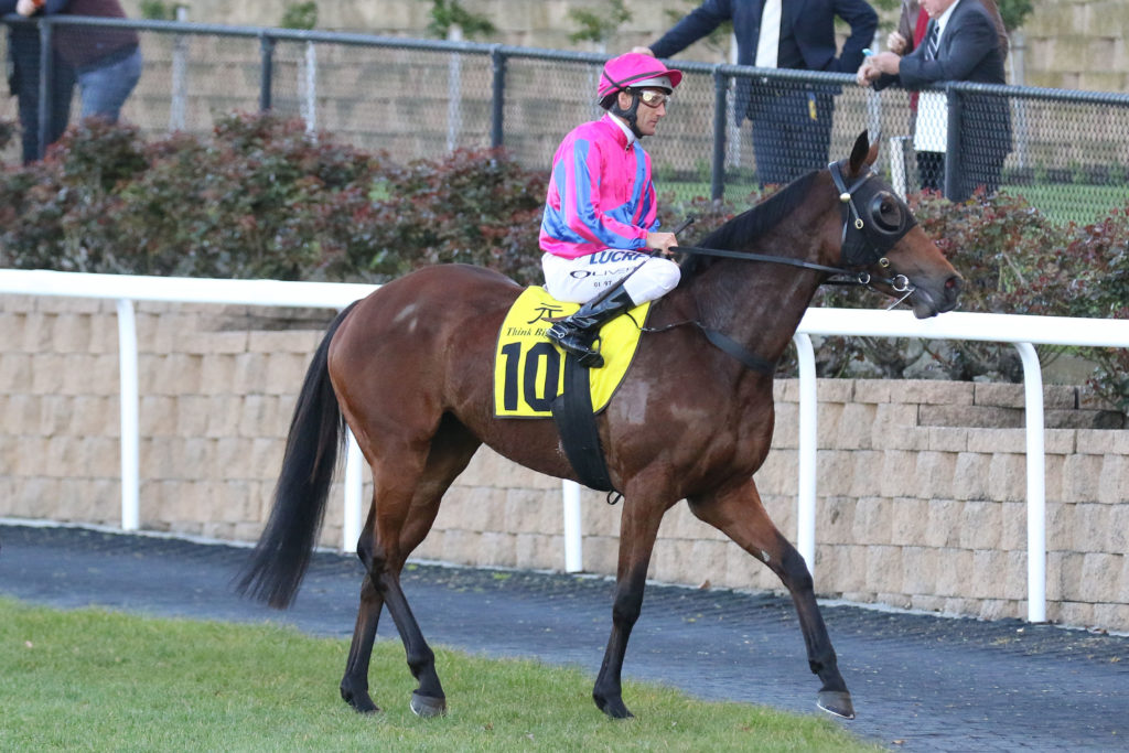 Lizzie L'amour_09-09-2017_GEN_Moonee Valley_9__1591 | Just Horse Racing