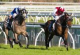 Long John winning the BECK Caulfield Guineas at Caulfield - photo by Race Horse Photos Australia
