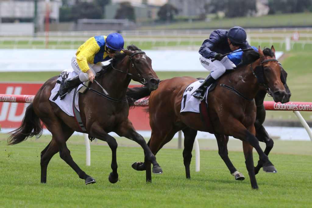 Long Leaf,Merson Cooper Stakes,Listed_18-11-2017_WIN_Sandown_1__44 | Just Horse Racing