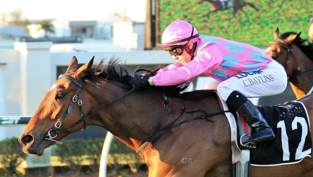 Looks Like Elvis (1) | Just Horse Racing