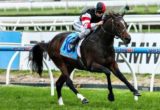 Lord of the Sky winning the Taralye Listen Learn Speak Plate at Caulfield ridden by Kayla Nisbet and trained by Robbie Laing - (photo by Steven Dowden/Race Horse Photos Australia)
