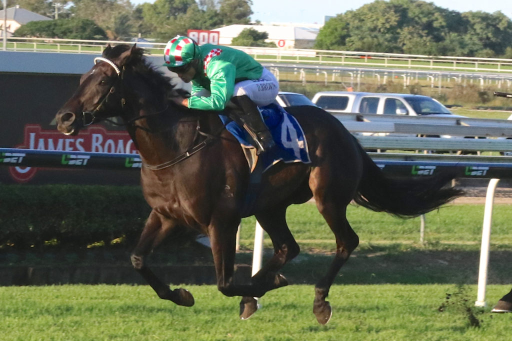 Lucky Black | Just Horse Racing