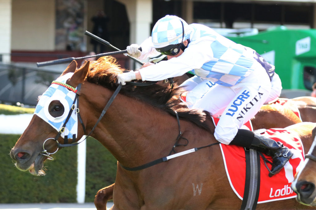 Magnapal_09-09-2017_WIN_Moonee Valley_4__703 | Just Horse Racing