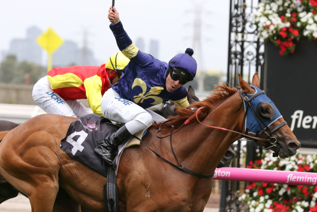 Mahamedeis_20-01-2018_WIN_Flemington_3__509 | Just Horse Racing
